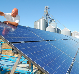 Energia fotovoltaica oferece soluções para o agronegócio