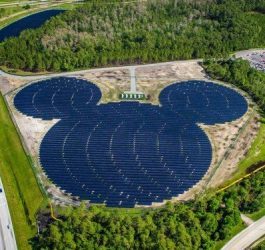 Parques da Disney nos EUA serão abastecidos com energia solar fotovoltaica
