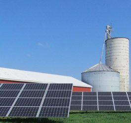 Oferta de crédito impulsiona uso de energia solar na agricultura