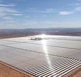 Energias renováveis podem trazer chuvas e vegetação ao deserto